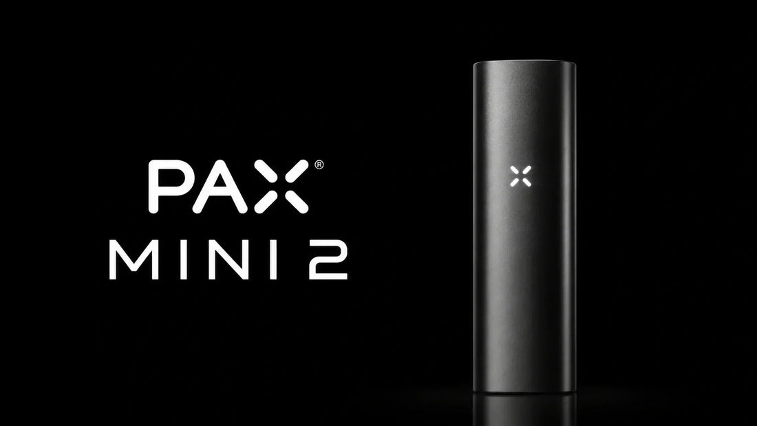 PAX Mini 2 Vaporizer Review: Is This the Ultimate Pocket Vaporizer?